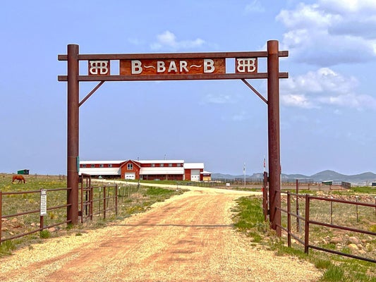 4613 COUNTY RD 160, WESTCLIFFE, CO 81252 - Image 2e0fd80095d498efeb0066b0684255bf/58086983
