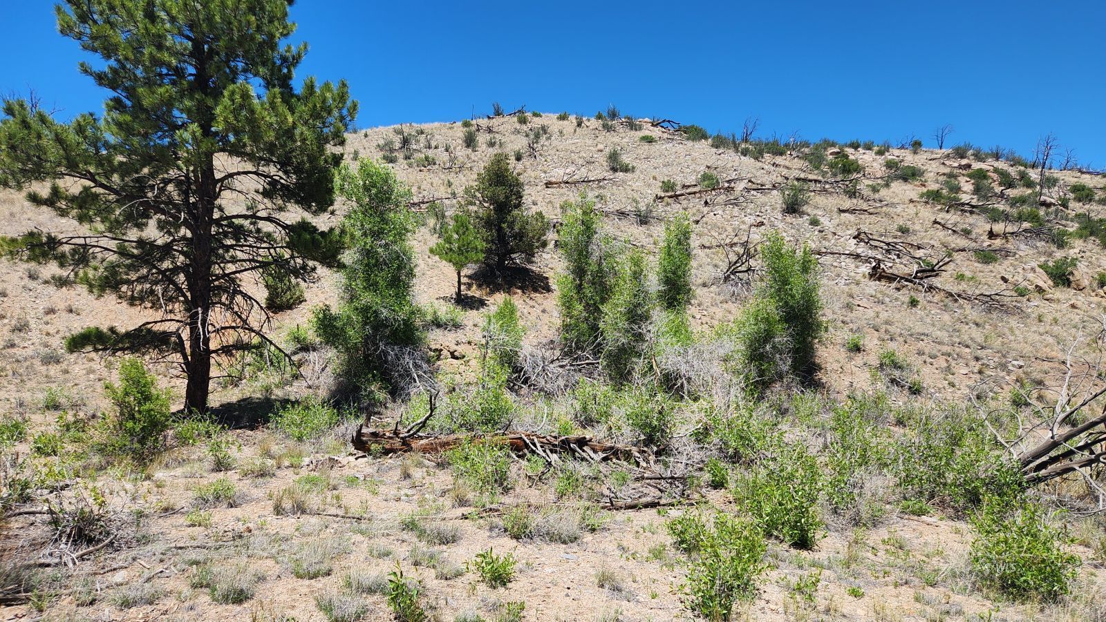 TBD L 35th Trail - Photo 2