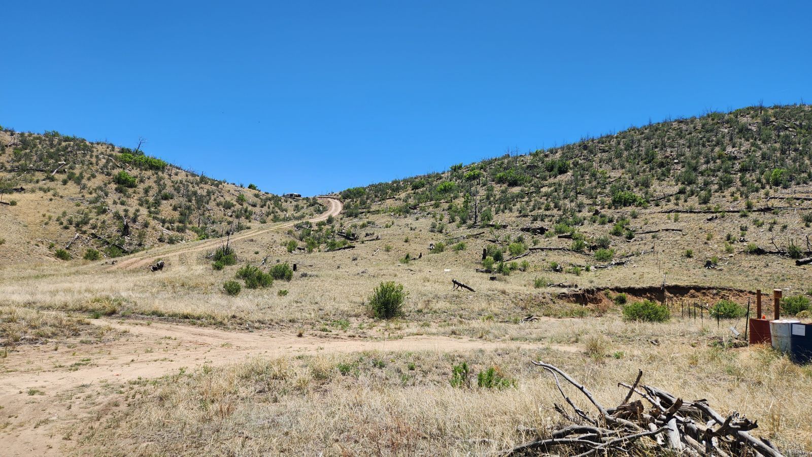 TBD L 35th Trail - Photo 4