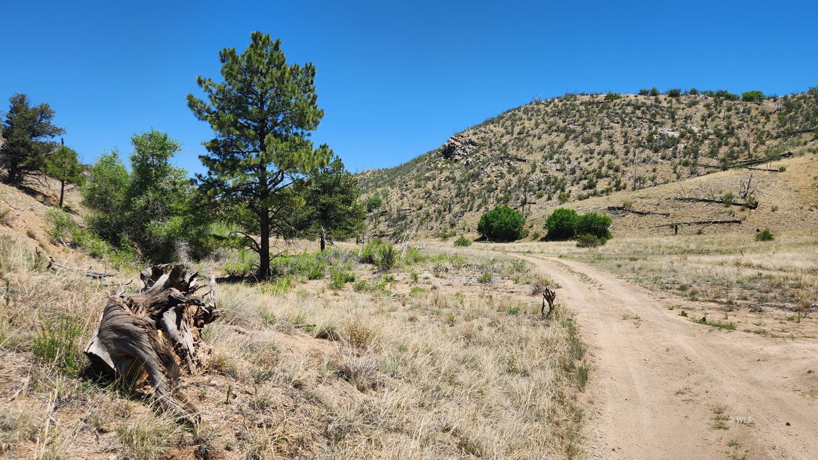 TBD L 35th Trail - Photo 3