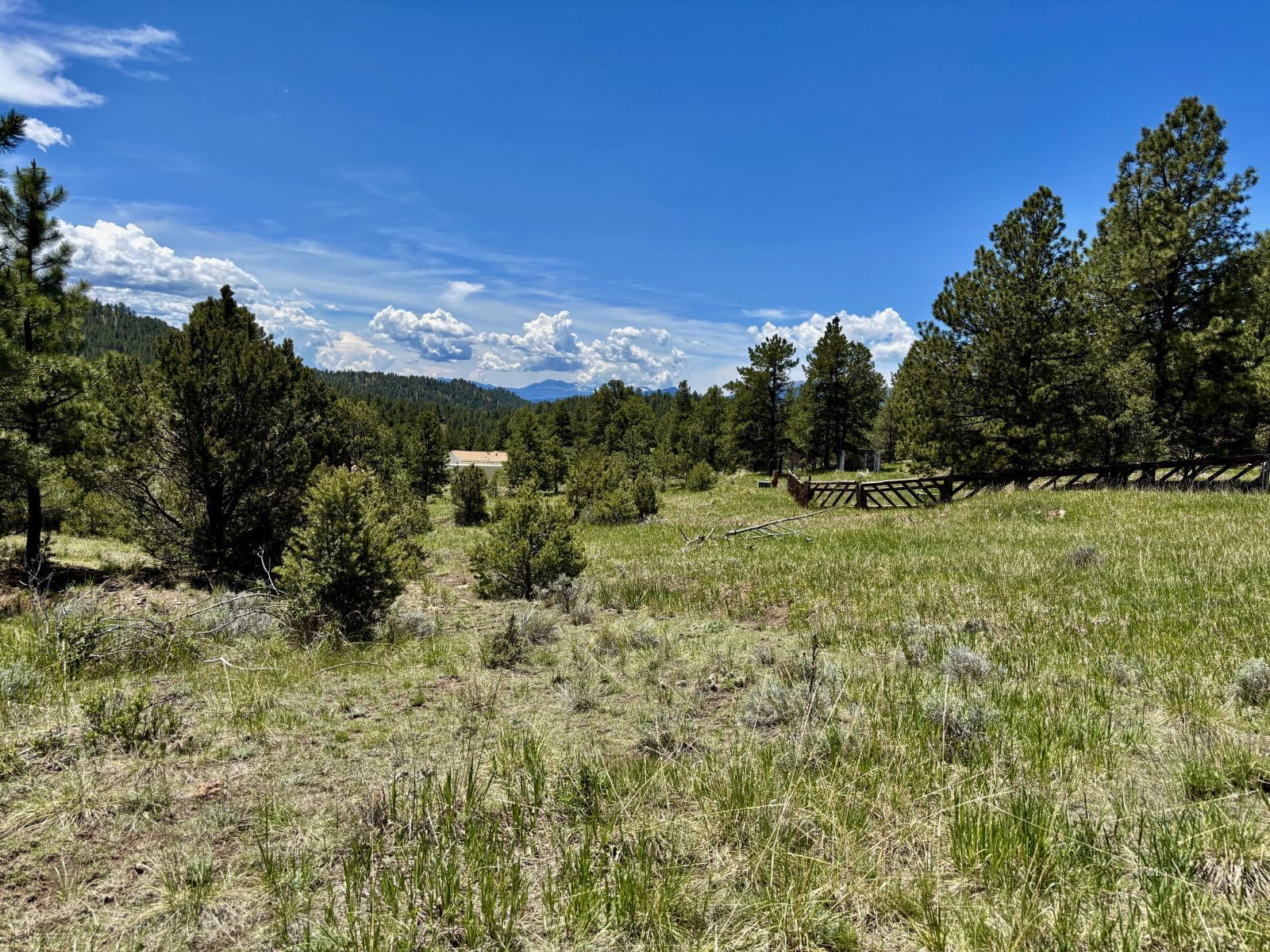 Photo 1 of 11 — TR42 CR 329, Westcliffe, CO 81252