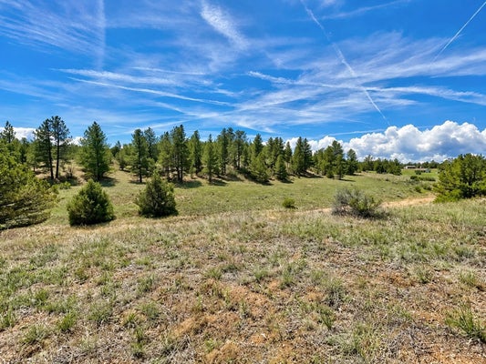 103 CHEYENNE CT, COTOPAXI, CO 81223 - Image 71ab215b1bcddf1232d9aff072dca9c2/632598889