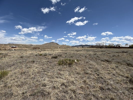 100 FRANKLIN ST, SILVER CLIFF, CO 81252 - Image 7f69ebbf333fc8aa9e0a0d84312bdf31/622336249