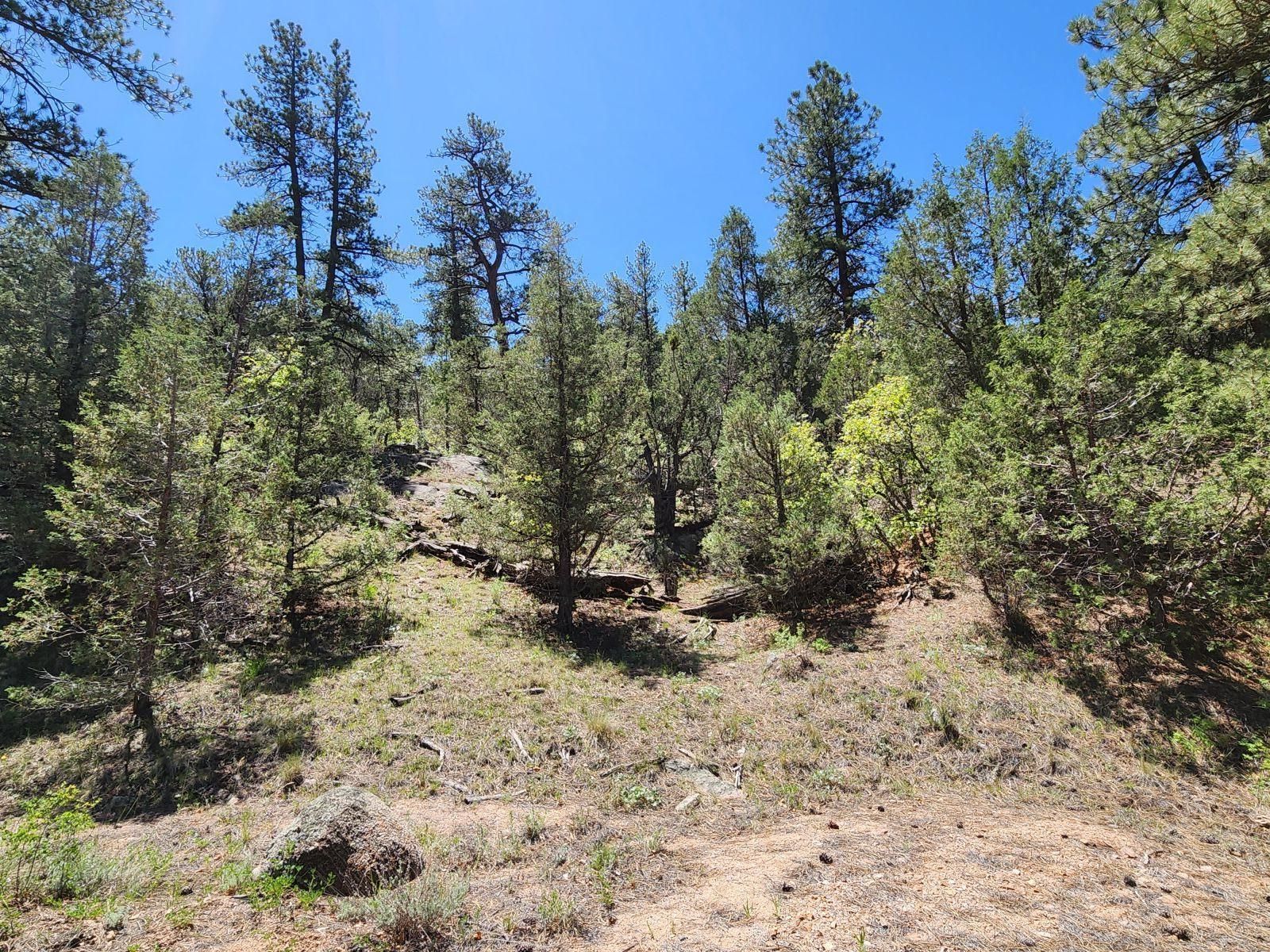 Photo 1 of 35 — 102 Kevin Dr, Cotopaxi, CO 81223