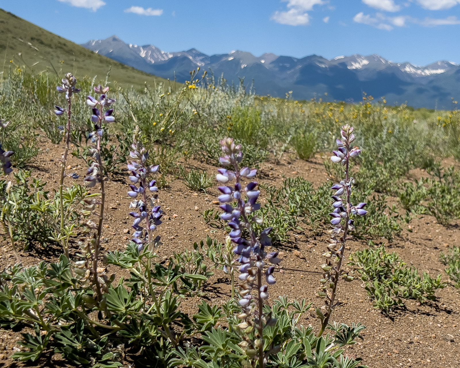 Photo 1 of 6 — TBD L13 CO RD 255, Westcliffe, CO 81252