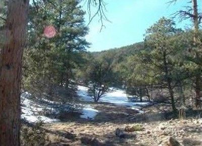 Photo 1 of 17 — 143 Ive Place, Cotopaxi, CO 81223