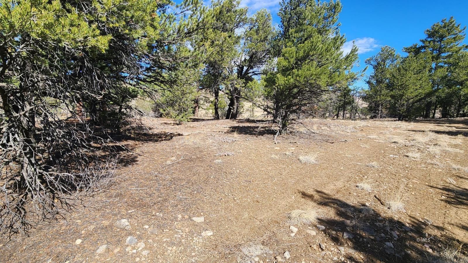 TBD L I Path - Photo 4