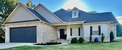 Photo of 58 WRIGLEY LANE, Ecru, MS 38841 (MLS # 25-3335)