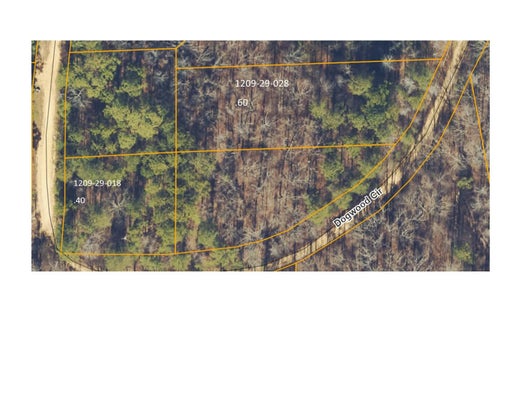DOGWOOD CIR, TISHOMINGO, MS 38873 - Image 144dfa60f4ddfbfa95b58f5d7e4e4ecb/1576798025