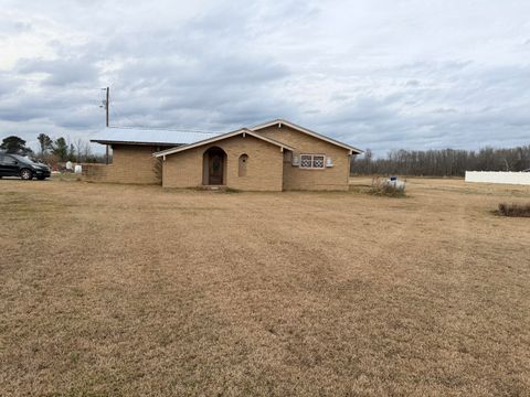 Photo of 60116 Seminole Road, Smithville, MS 38870 (MLS # 26-481)