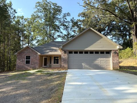 Photo of 31 Indian Creek Road, Fulton, MS 38843 (MLS # 25-3251)