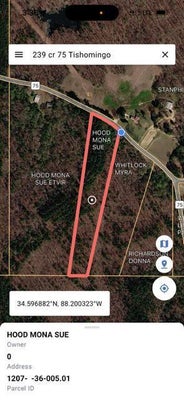 239 COUNTY RD 75, DENNIS, MS 38838 - Image 7ea111cf5e0e9eb2ad58925c4d3d49d4/4088480750
