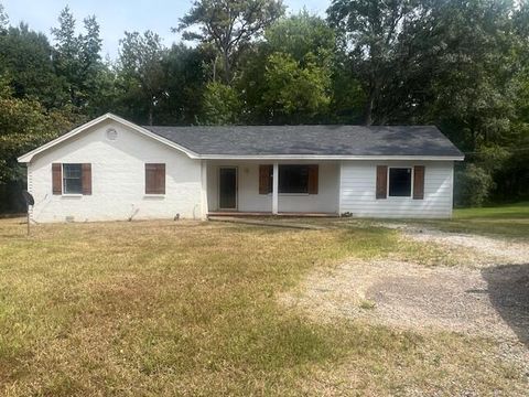 Photo of 196 COUNTY ROAD 217, Burnsville, MS 38833 (MLS # 25-3360)