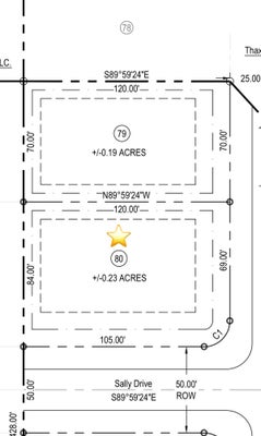 175 HOLLY LN, THAXTON, MS 38871 - Image c8bfbd35ae6529d5fc7a9fdc52057b94/3843480735