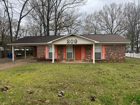 Photo of 209 Oak Ln Cir, Houston, MS 38851 (MLS # 26-880)