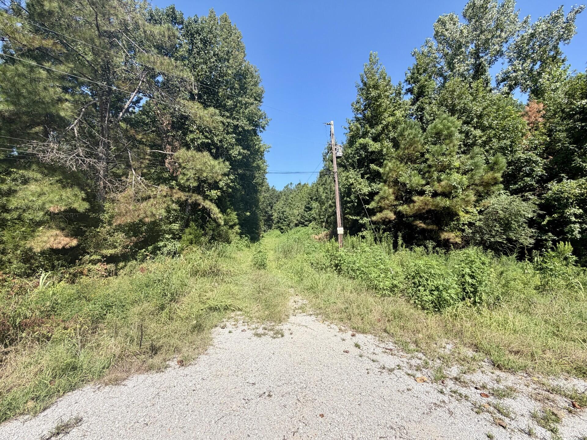 Co Rd 172