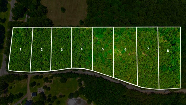 7 MORRIS RD, EUPORA, MS 39744 - Image 14c00a7a4a174c848489b4dff9f5fc54/2336502417