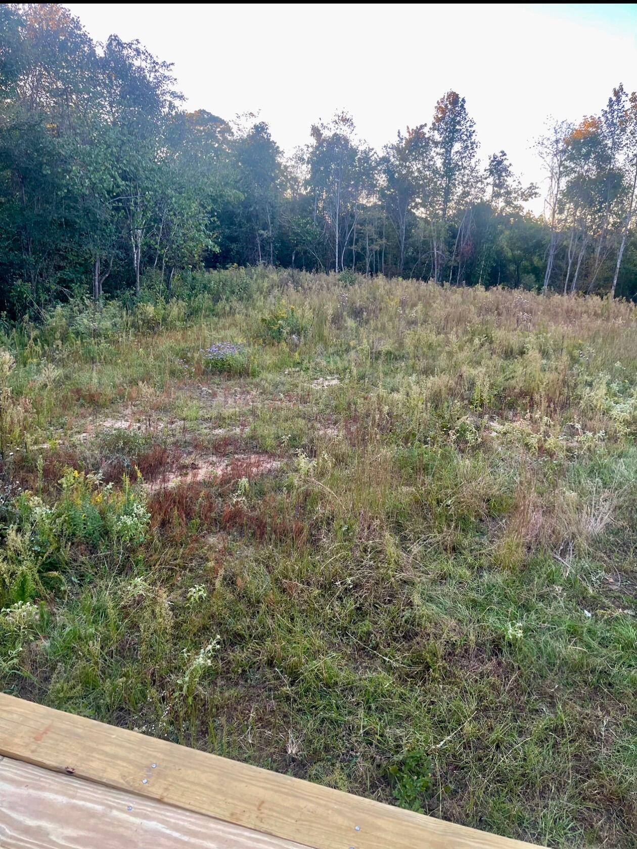 1303 County Road 153