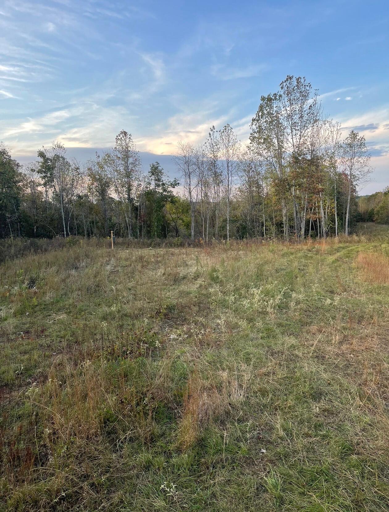 1303 County Road 153