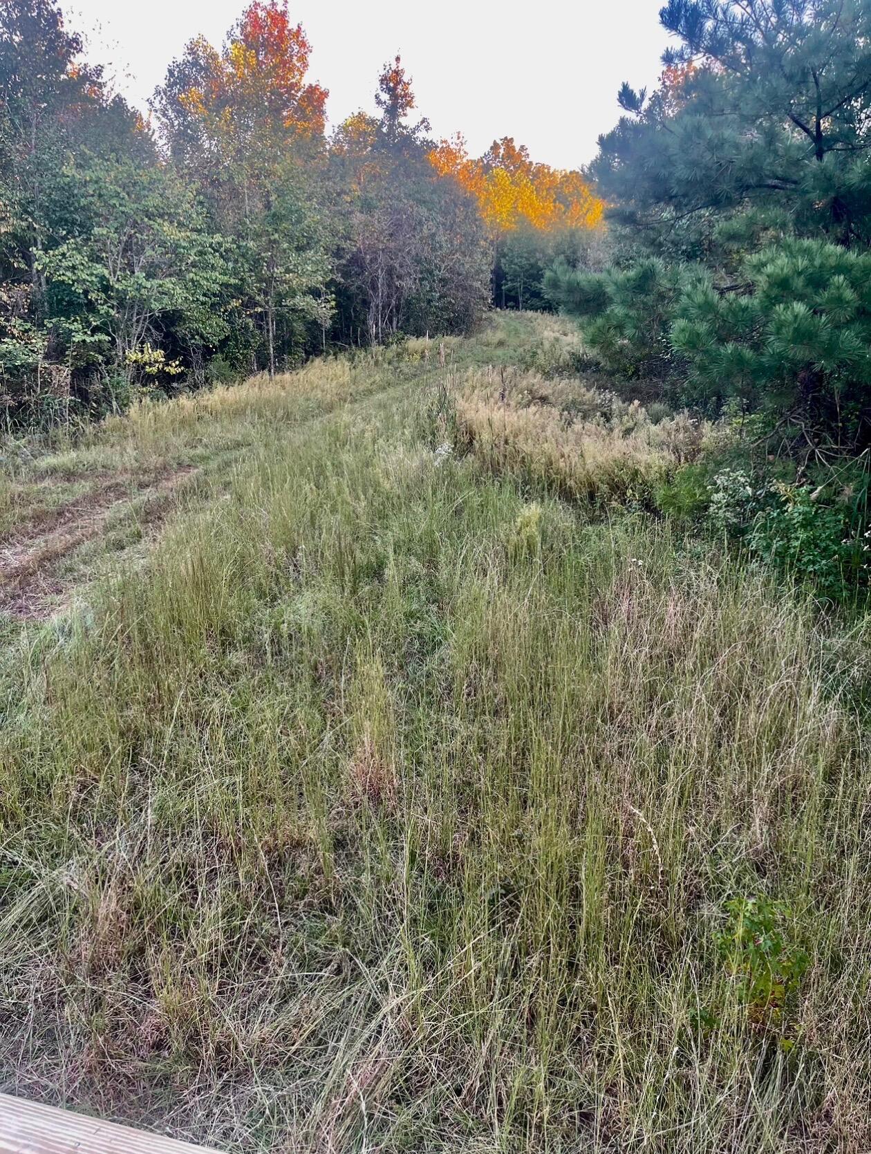 1303 County Road 153