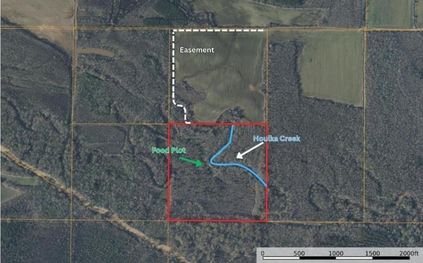ADDRESS PRIVATE, PRAIRIE, MS 39756 - Image a4e71a63d2b6a0589e0fb2313cfe329b/2820264959