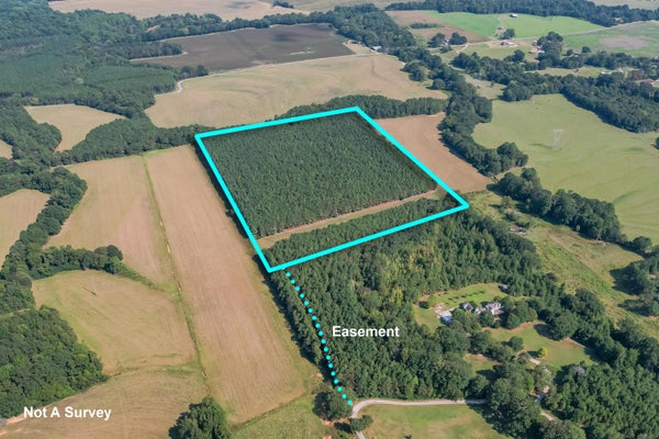 SARTIN ST, BOONEVILLE, MS 38829 - Image b4e6c2f75f6bd2976ae19bb40bb3d0ab/33847653