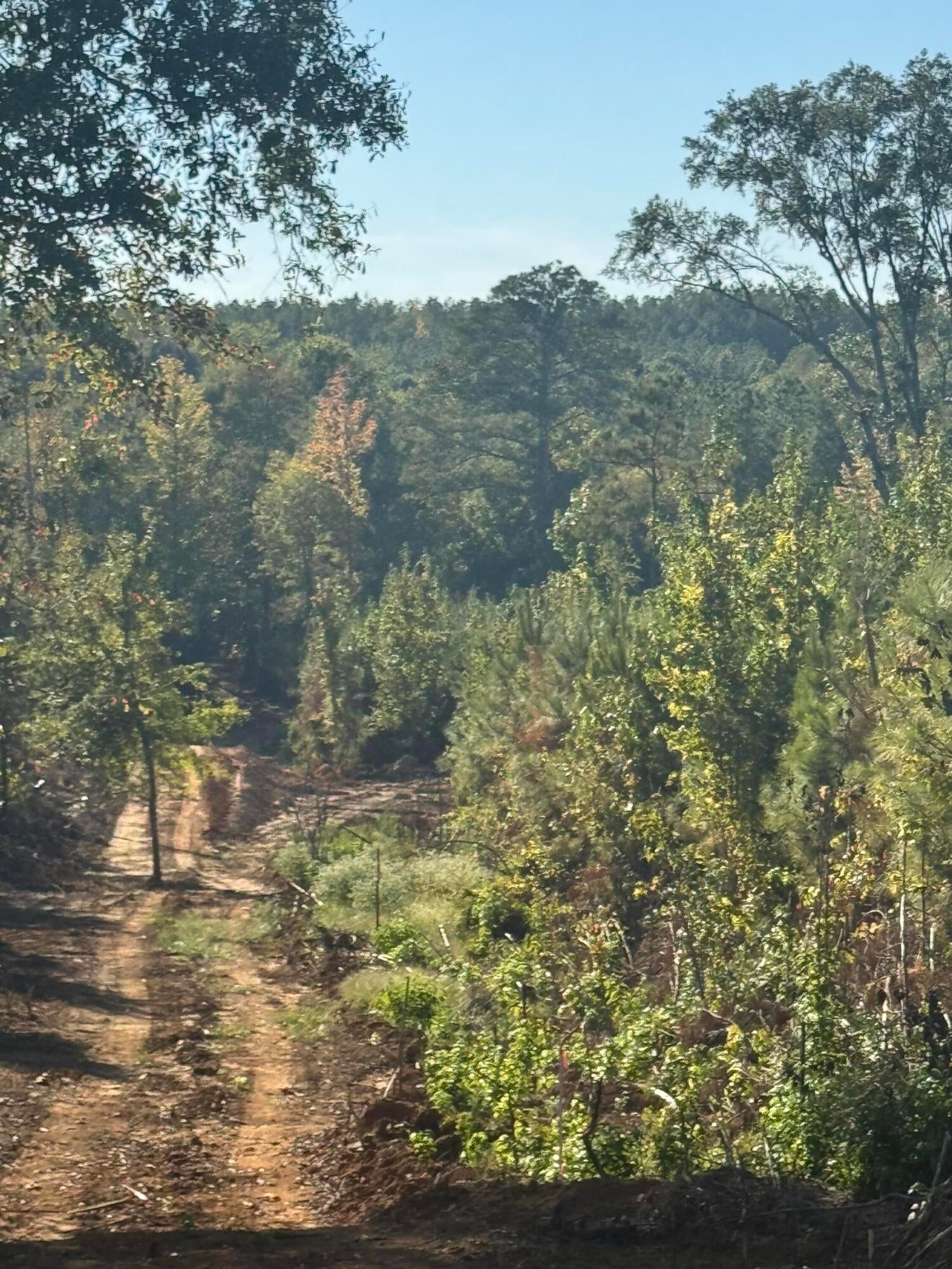 New Hope Road
