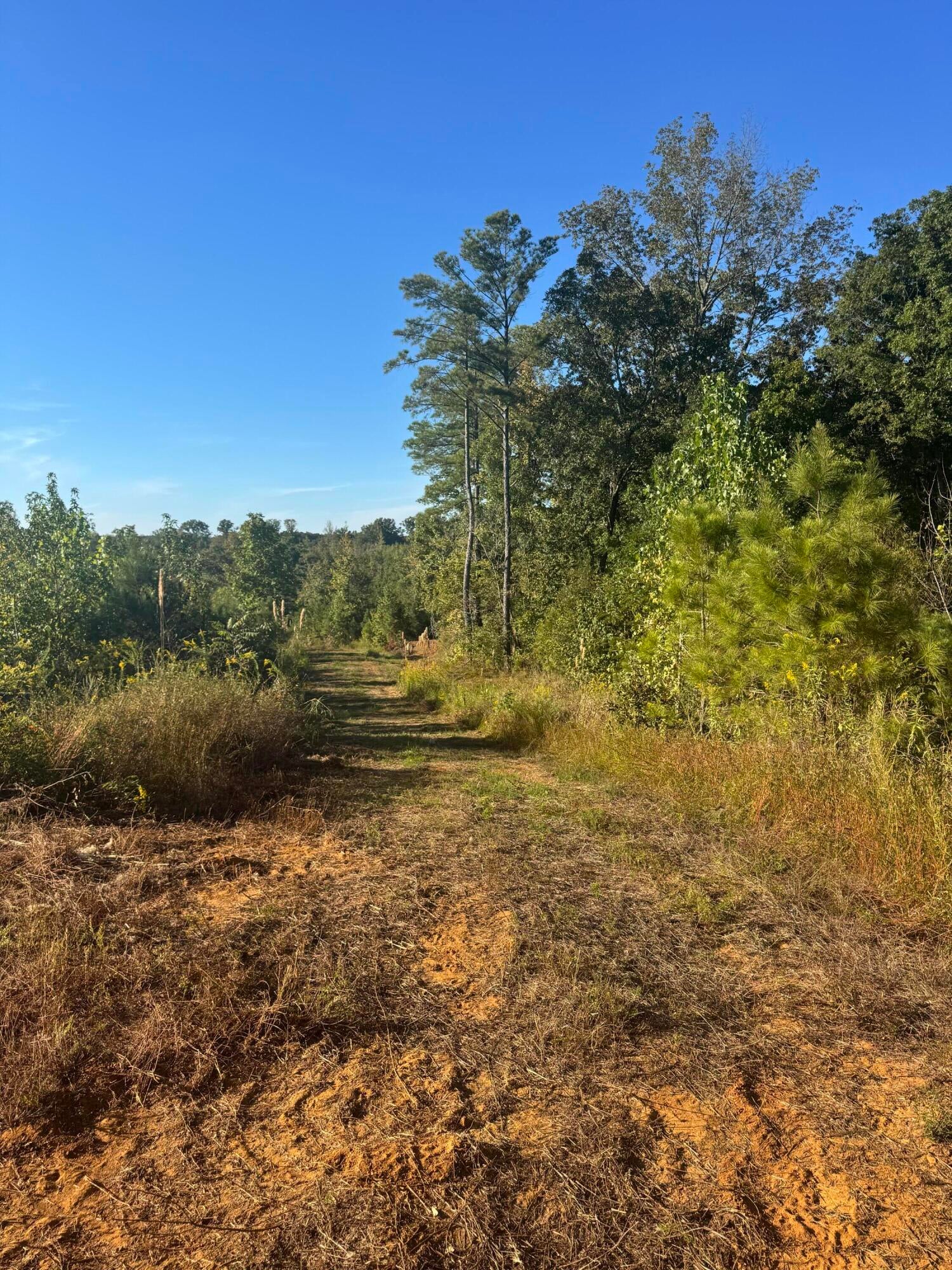 New Hope Road