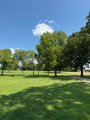 15 EAST DR, BELDEN, MS 38826 - Image dba11f703d4670bfa2ee60b60e27bc53/3273192240