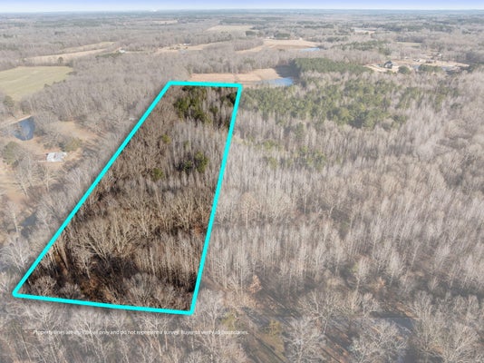 JOHN GEORGE LOOP, MICHIE, TN 38357 - Image e31fbac69d7202bea19a5fe666ea724d/374289969