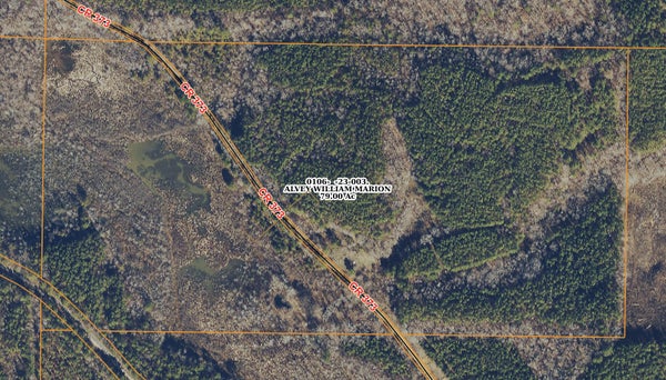 404 COUNTY RD 373, IUKA, MS 38852 - Image f6bf5724f65f96e8dffc9cccea5bffde/416990499