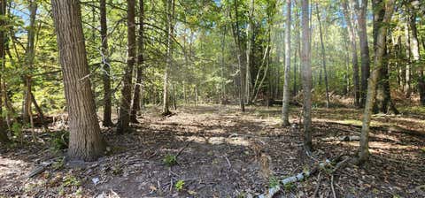 Photo for 645 Evergreen Drive
