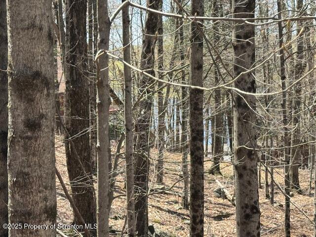 Lake Ariel, Pennsylvania 18436, United States, 2 Bedrooms Bedrooms, ,1 BathroomBathrooms,Residential,Active,114373