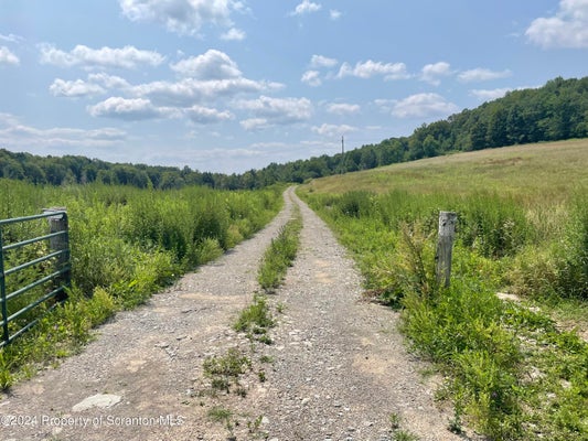 5342 STATE ROUTE 492, SUSQUEHANNA, PA 18847 - Image 0a809df0f0aa3cd0adf76a66ddf17a23/788063140