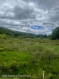 Photo for 2560 Meshoppen Creek Road