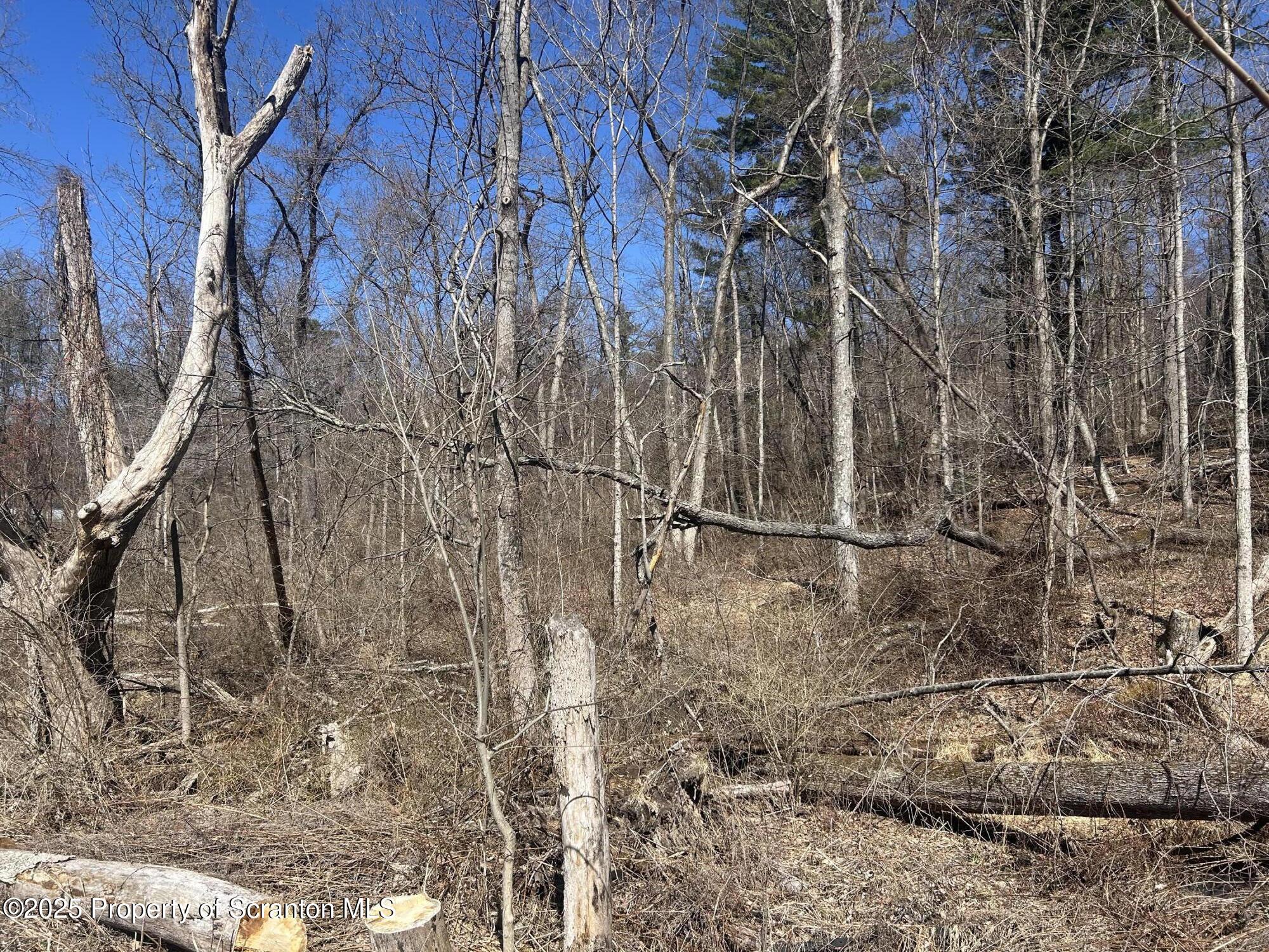 Ransom Township, Pennsylvania 18411, United States, ,Land,Active,93669