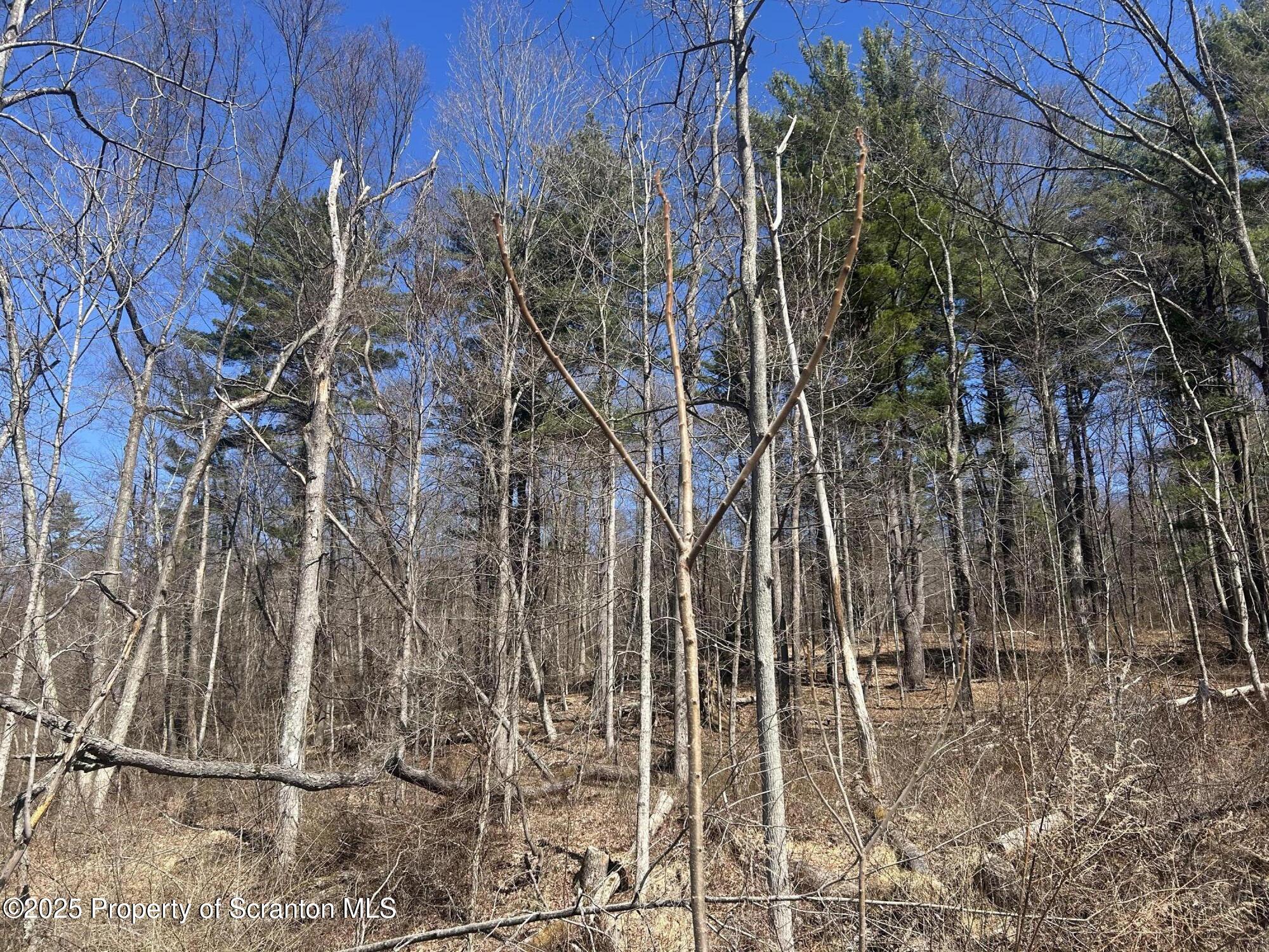 Ransom Township, Pennsylvania 18411, United States, ,Land,Active,93669