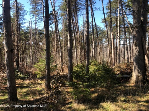 Photo for 634 Lily Lake Road, Lot 3