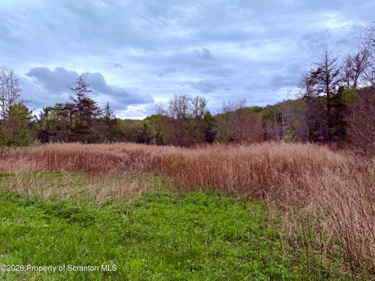 1183 HEART LAKE RD, SCOTT TOWNSHIP, PA 18433 - Image 5dd64c5d93281a62003e5236bd5f4e59/3714132272