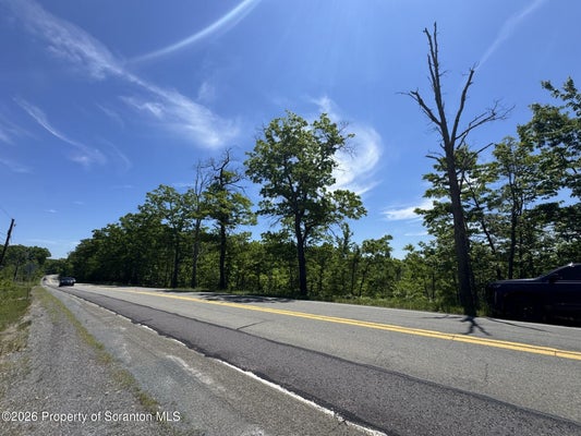 MT COBB ROAD, ROARING BROOK TWP, PA 18444 - Image 5fcb1a2e1e2f0f101c9639b69a58c0cd/842003516