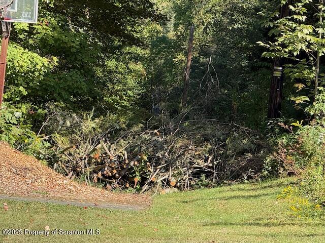 Roaring Brook Twp, Pennsylvania 18444, United States, ,Land,Active,215721