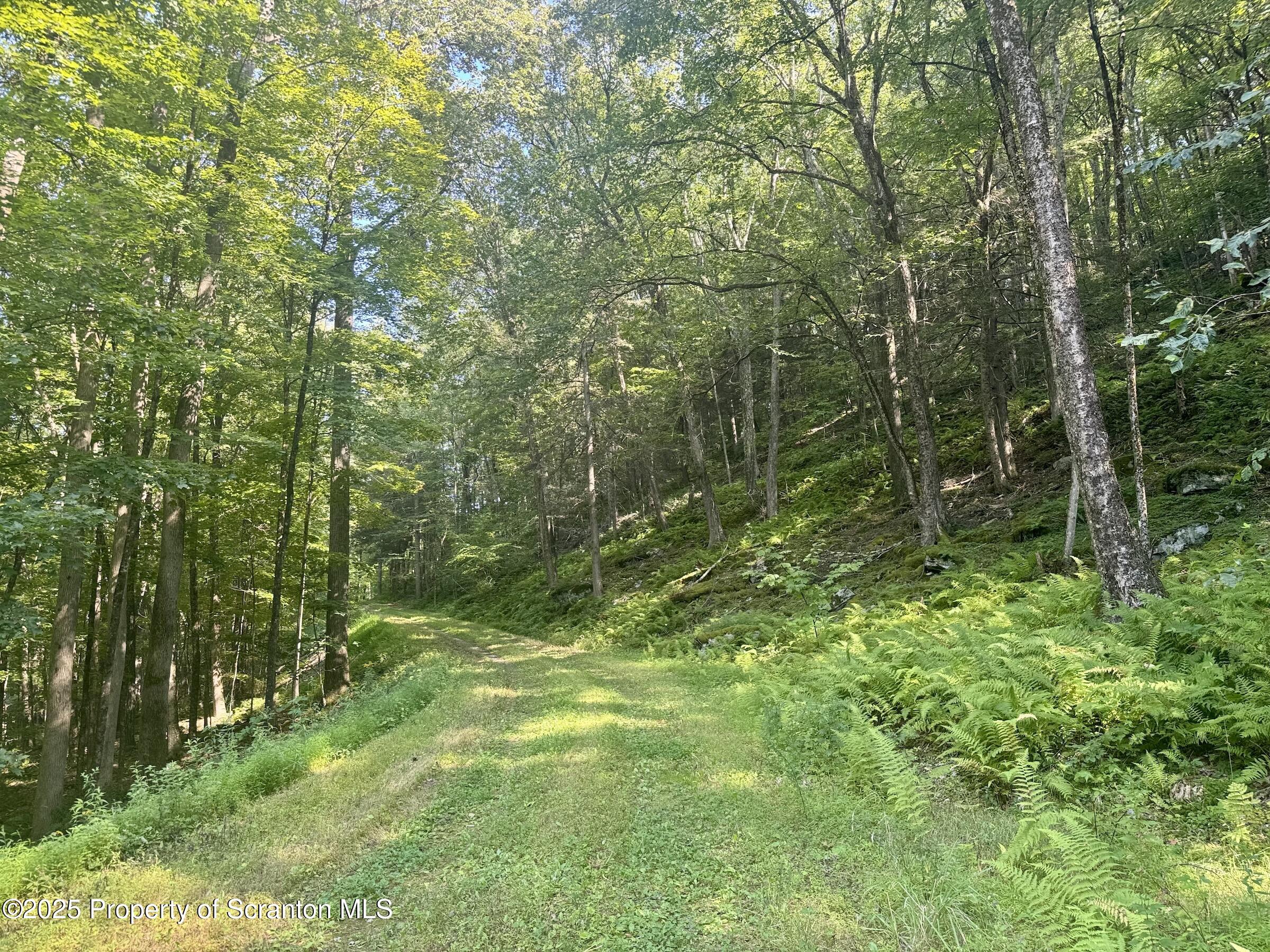 Equinunk, Pennsylvania, 18417, United States, 3 Bedrooms Bedrooms, ,3 BathroomsBathrooms,Residential,Active,1922535