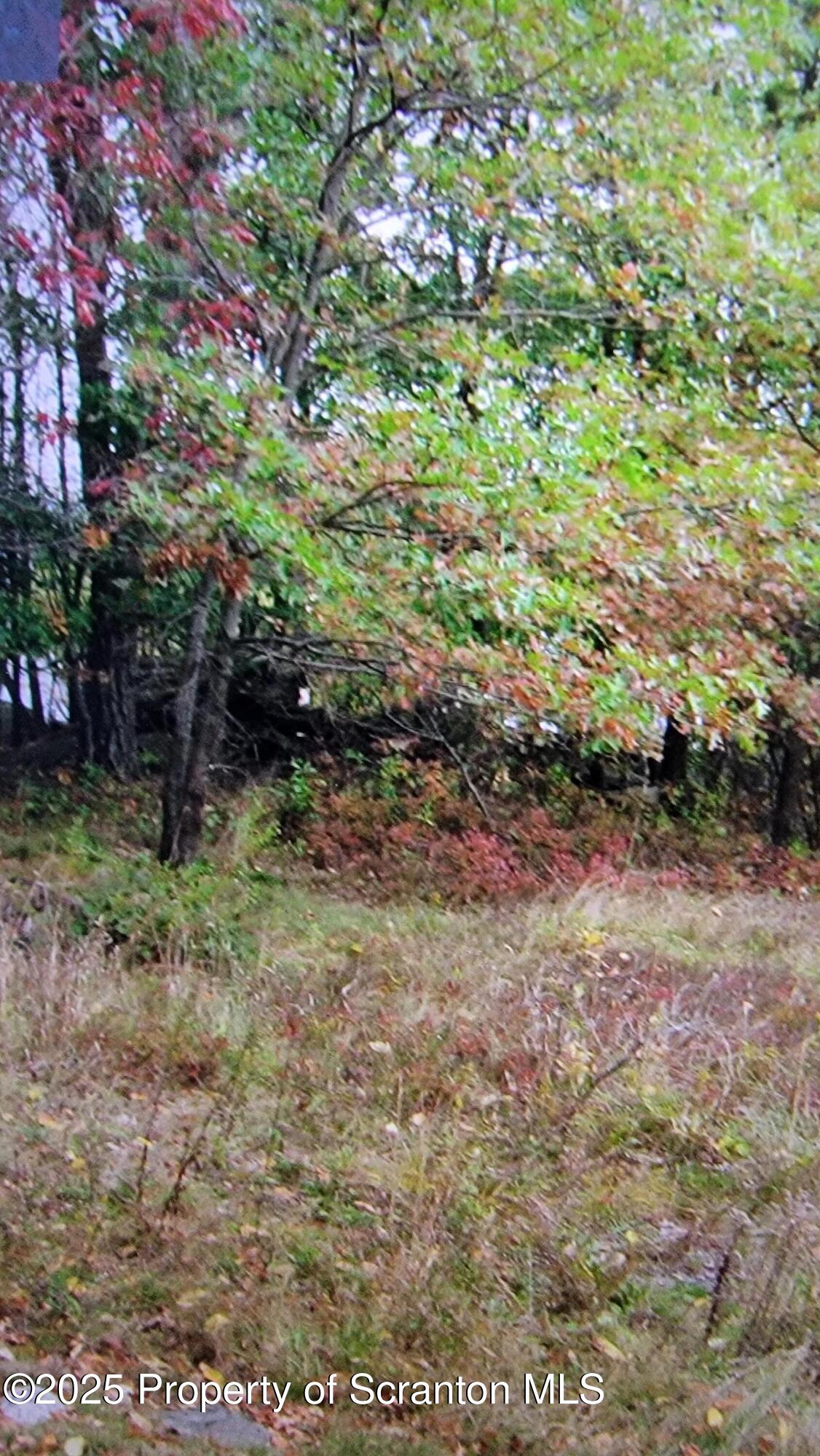 Scranton, Pennsylvania 18505, United States, ,Land,Active,193714