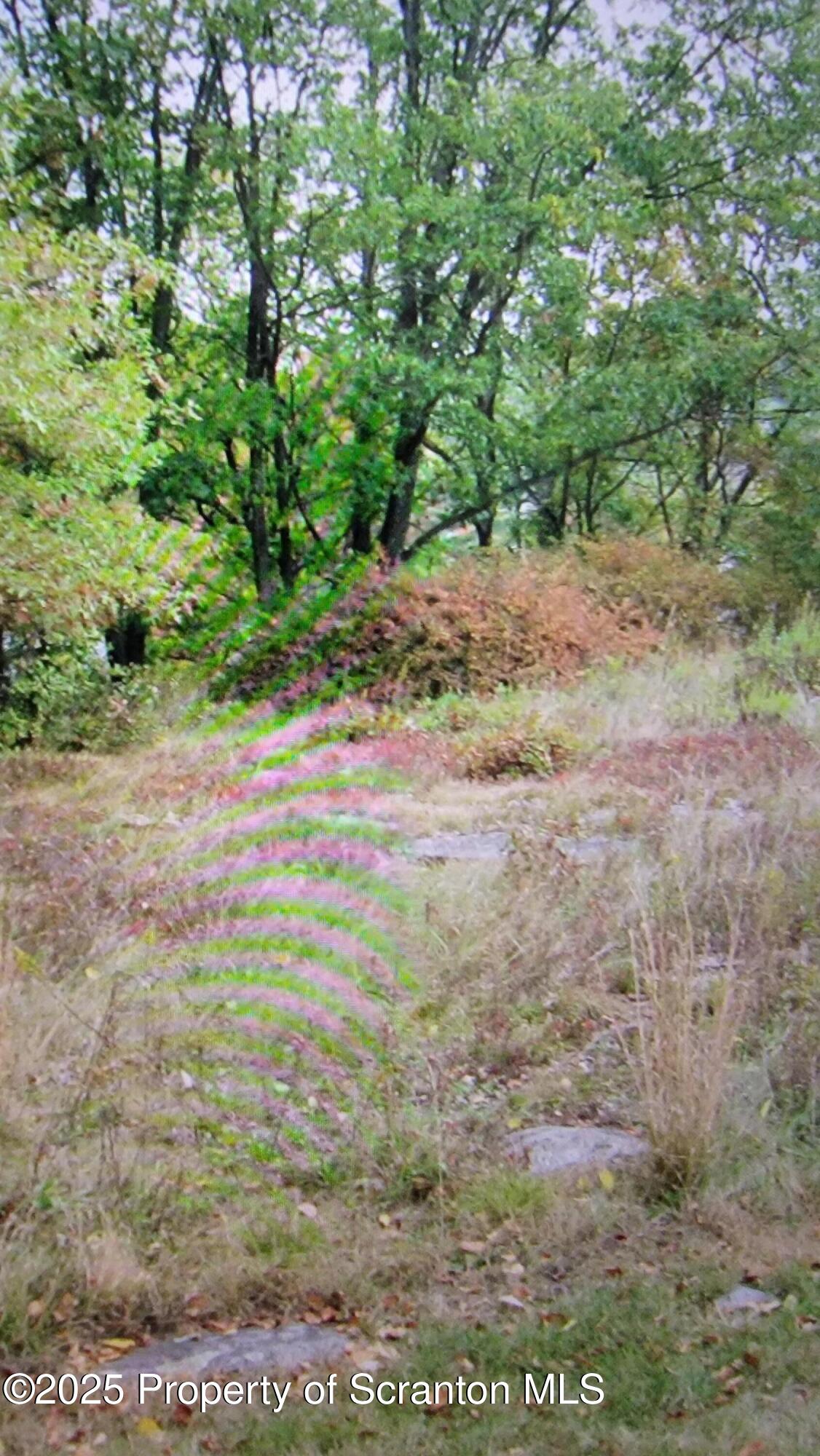 Scranton, Pennsylvania 18505, United States, ,Land,Active,193714