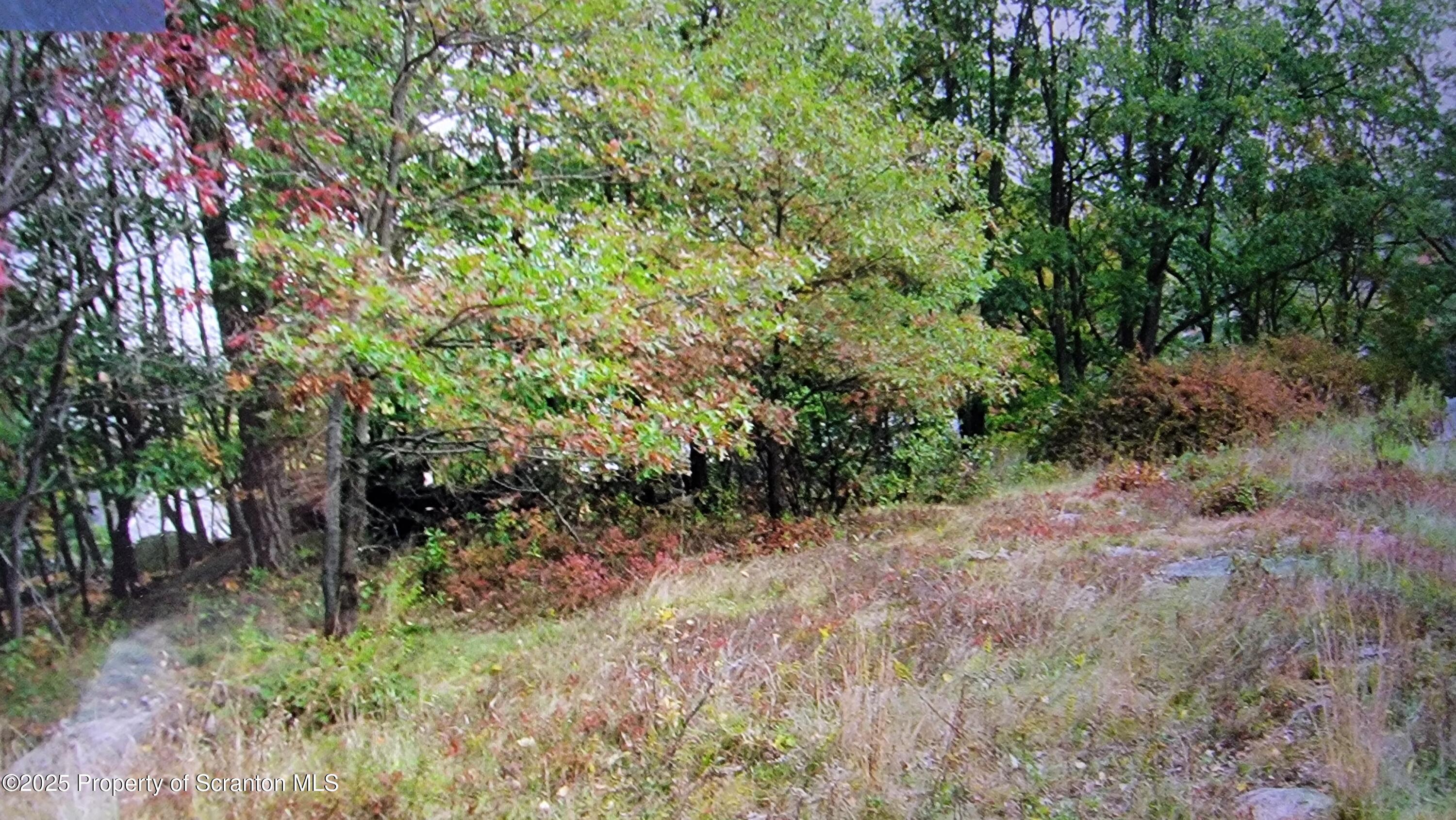 Scranton, Pennsylvania 18505, United States, ,Land,Active,193714