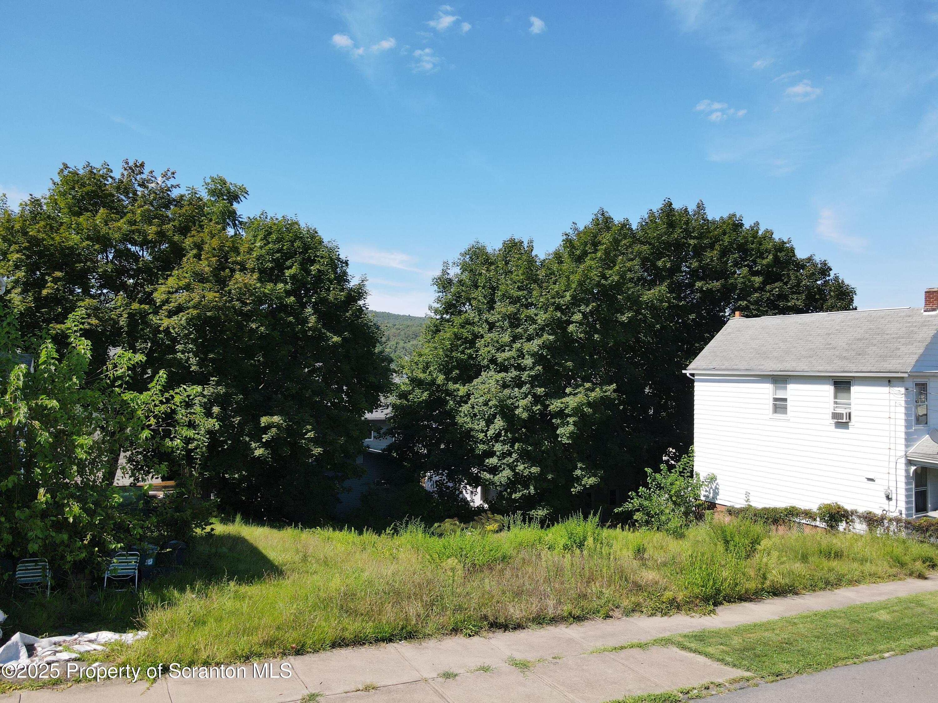 Edwardsville, Pennsylvania 18704, United States, ,Land,Active,194574