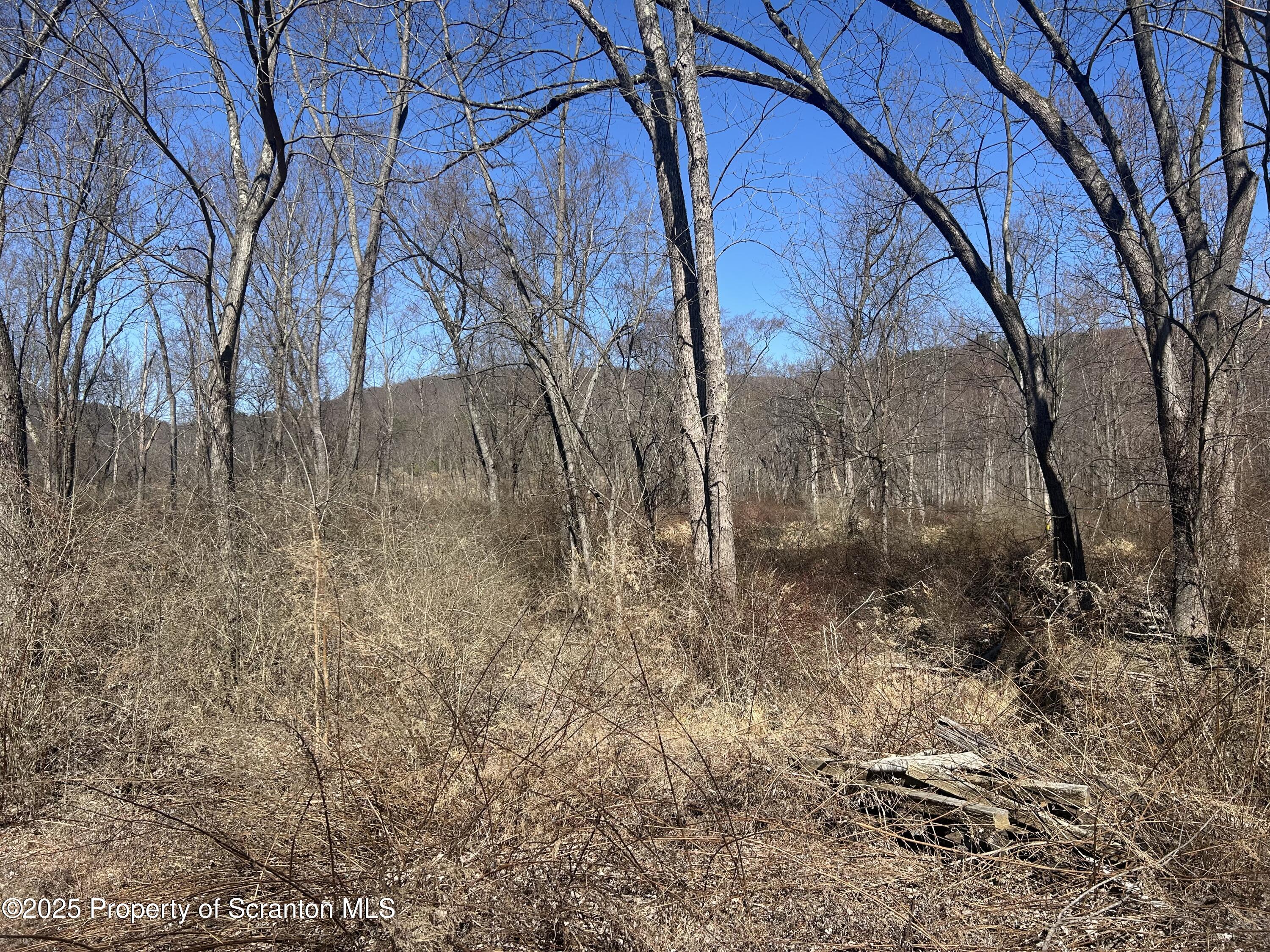 Ransom Township, Pennsylvania 18411, United States, ,Land,Active,93670