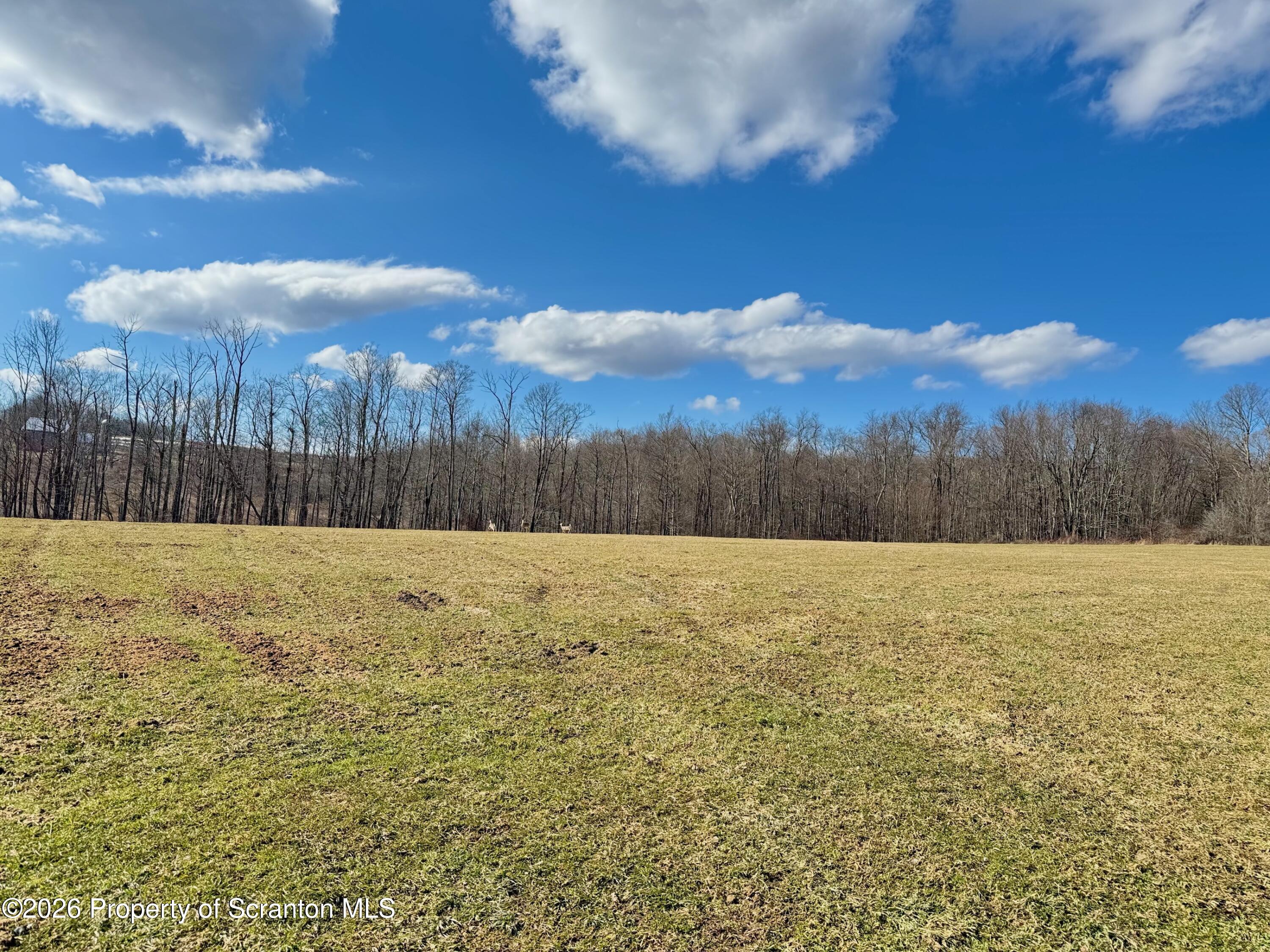 Pleasant Mount, Pennsylvania, 18453, United States, 4 Bedrooms Bedrooms, ,2 BathroomsBathrooms,Residential,Active,2027074