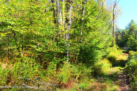 Photo for Westwoods Road Road