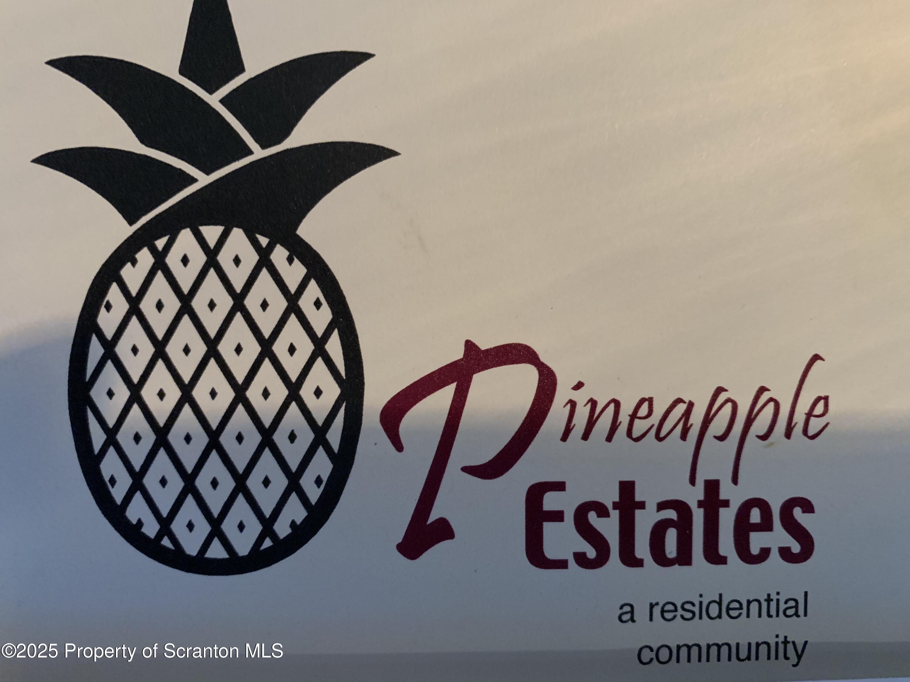 PINEAPPLE ESTATES PICTURE 1